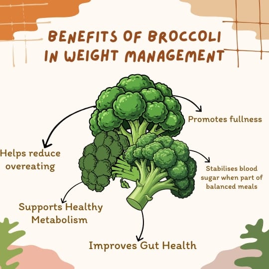 Infographic about broccoli benefits for weight management, emphasizing satiety, reduced overeating, gut health improvement, and balanced blood sugar levels.