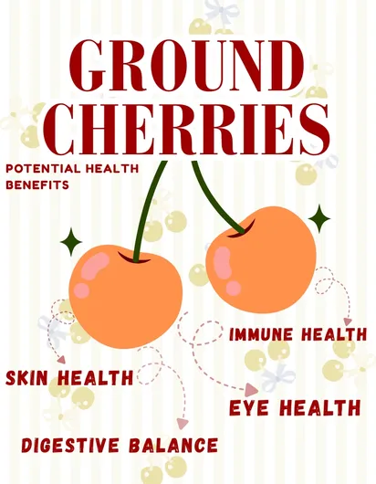 Illustration showing ground cherries with labeled benefits including skin health, immune health, eye health, and digestive balance.