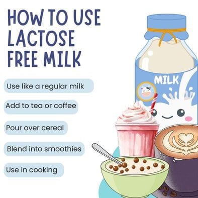 Infographic showing how to use lactose free milk, including adding to tea or coffee, pouring over cereal, blending into smoothies, and using in cooking for easier digestion and gut comfort.