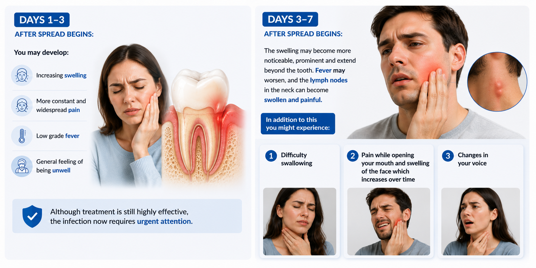 Infographic showing Phase 2 systemic spread of a tooth infection, including swelling, fever, worsening pain, difficulty swallowing, facial swelling, and voice changes requiring urgent dental attention.