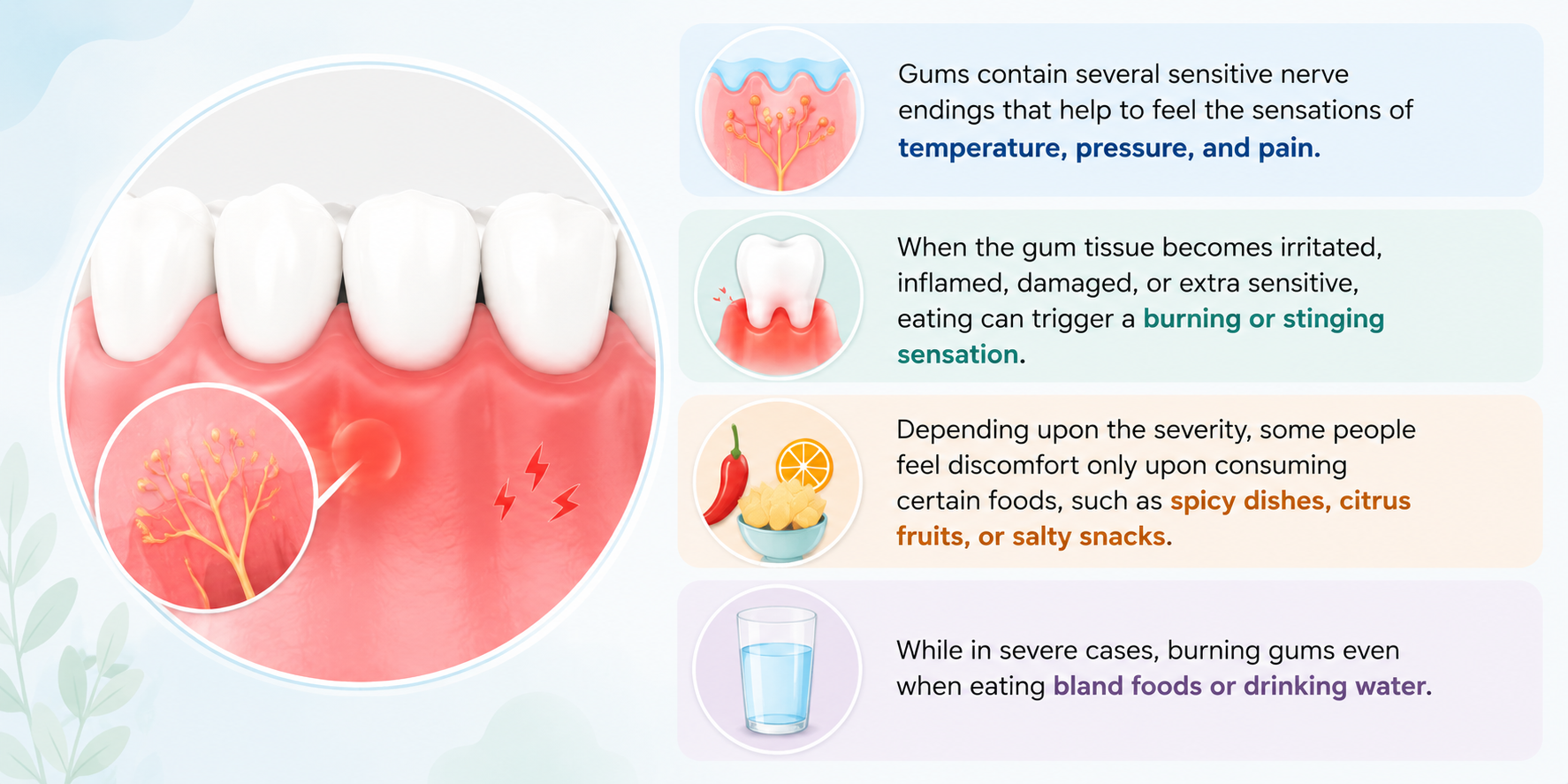 Medical illustration explaining why burn gums occur while eating, showing sensitive nerve endings, inflamed gum tissue, burning sensations, food-triggered irritation from spicy and acidic foods, and severe gum sensitivity even with bland foods or water.