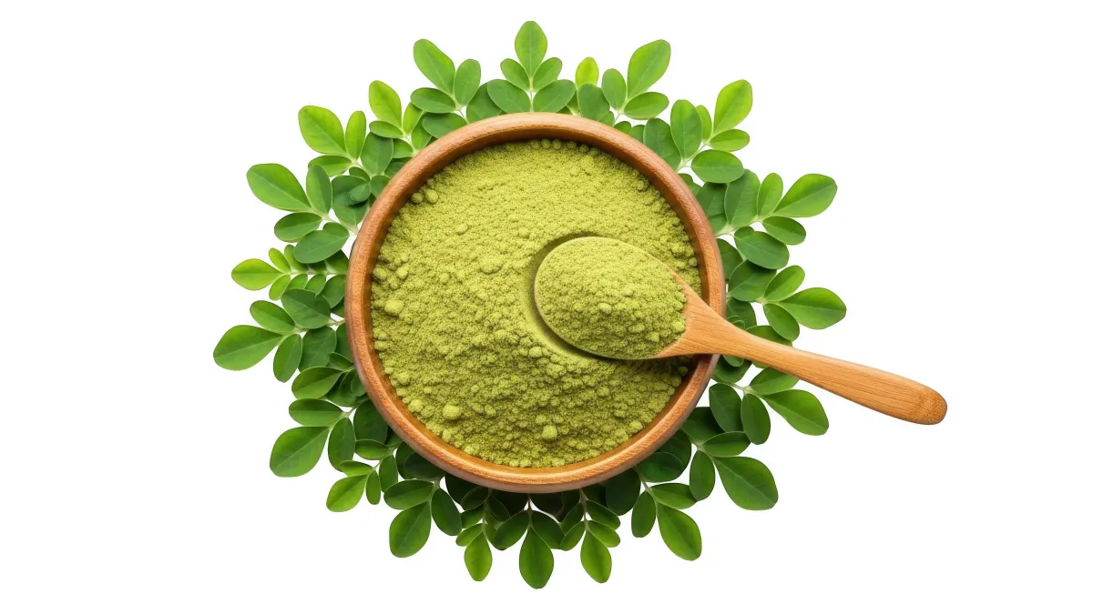 Moringa powder made from dried moringa leaves, known for its powerful nutritional and health benefits.