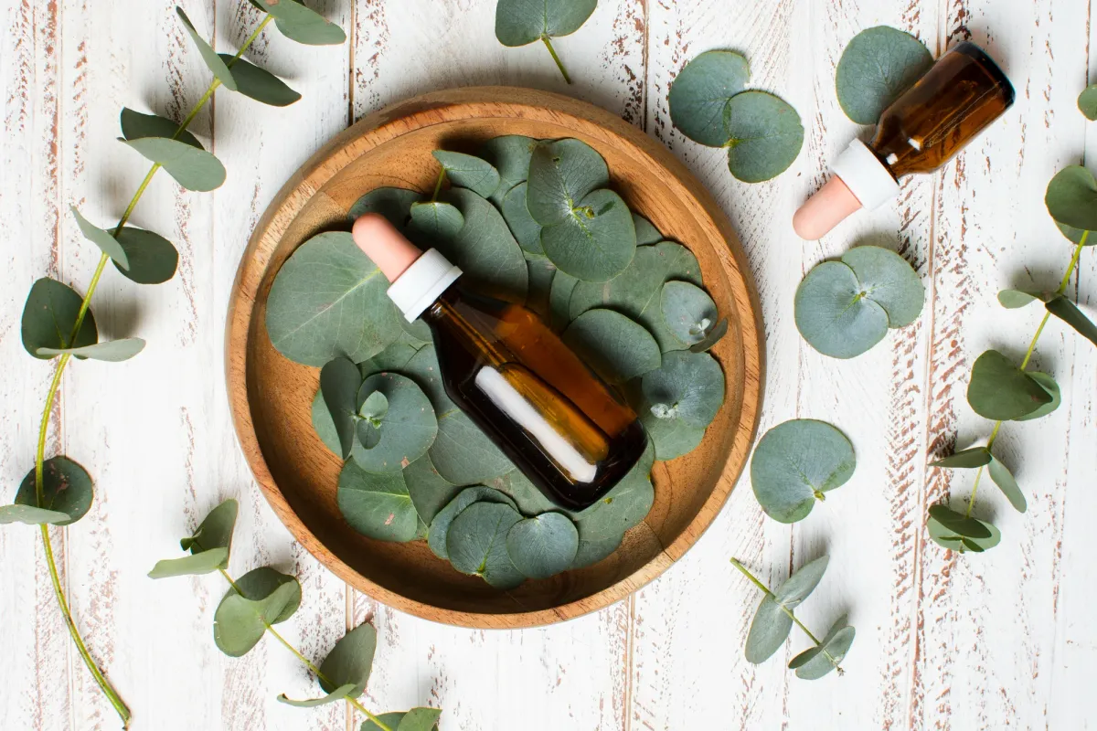 How to Use Eucalyptus Oil for Congestion safely.